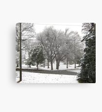 Feb. 19 2012 Snowstorm 2 Canvas Print