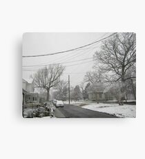 Feb. 19 2012 Snowstorm 5 Canvas Print