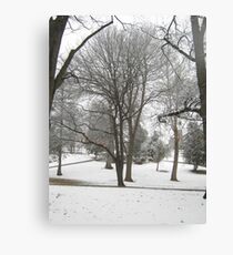 Feb. 19 2012 Snowstorm 17 Canvas Print