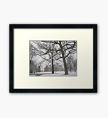 Feb. 19 2012 Snowstorm 19 Framed Print