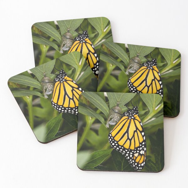Item preview, Monarch Butterfly 1 designed and sold by Robert Alsop.