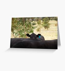 The Hidden Cow Greeting Card