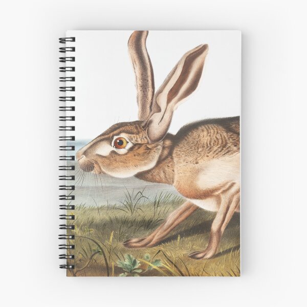 Item preview, Hare - John James Audubon designed and sold by Vintage Designs +.