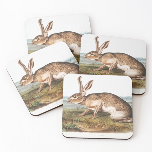 Item preview, Hare - John James Audubon designed and sold by Vintage Designs +.