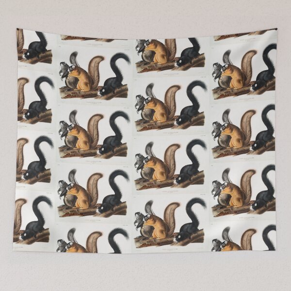 Item preview, Squirrels - John James Audubon designed and sold by Vintage Designs +.