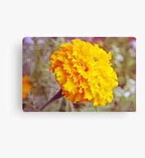 "Golden Marigold" Canvas Print