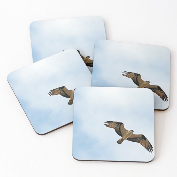 Item preview, Osprey In Flight designed and sold by Deb Oppermann.