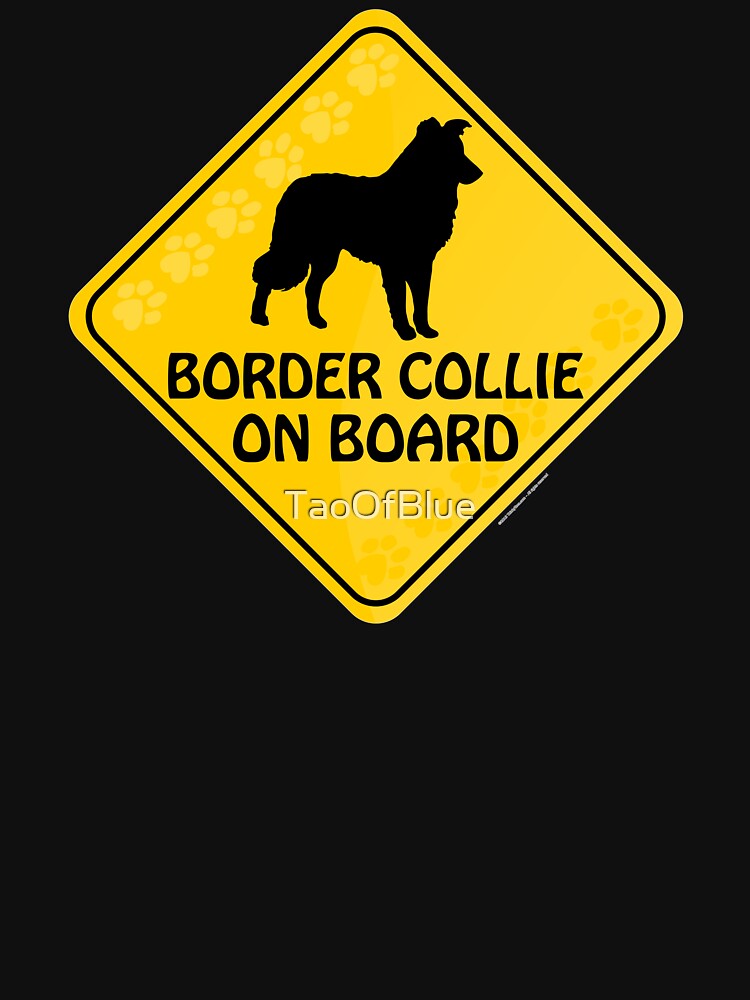 Border Collie On Board by TaoOfBlue