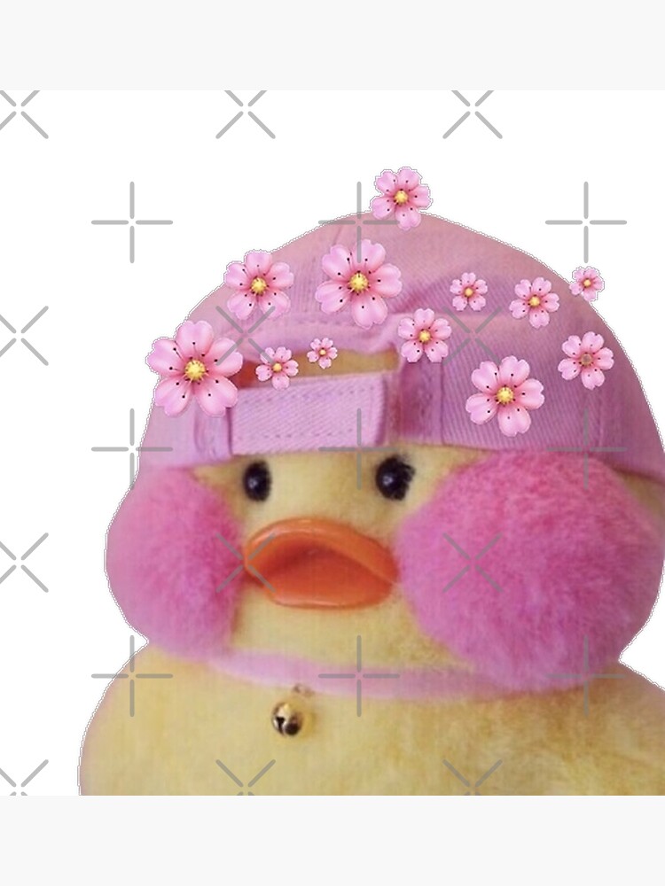 fluffy duck toy