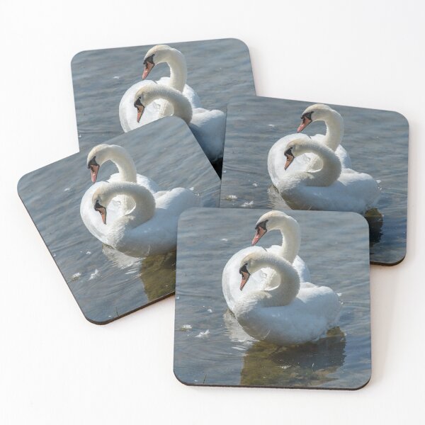 Item preview, Swans in Unison designed and sold by DonMc.