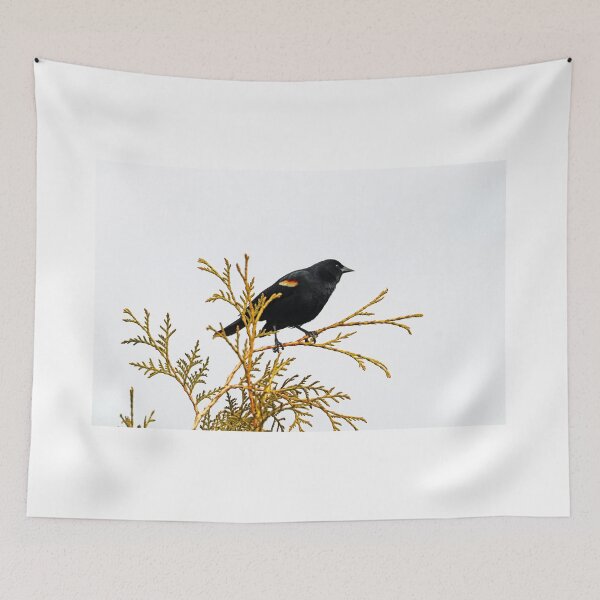 Item preview, Red Winged Blackbird On Cedar designed and sold by Deb Oppermann.