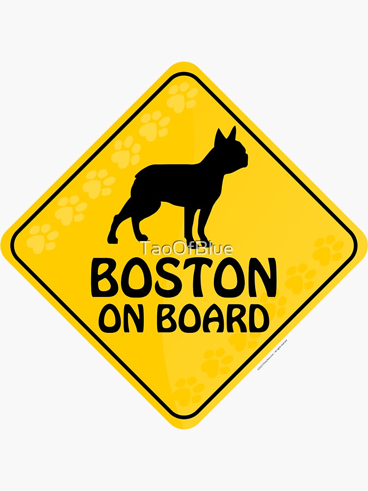 Boston On Board by TaoOfBlue