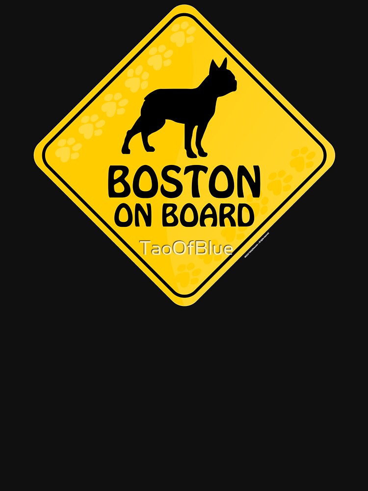 Boston On Board by TaoOfBlue