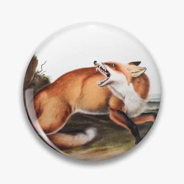 Item preview, Fox in a trap - John James Audubon designed and sold by Vintage Designs +.