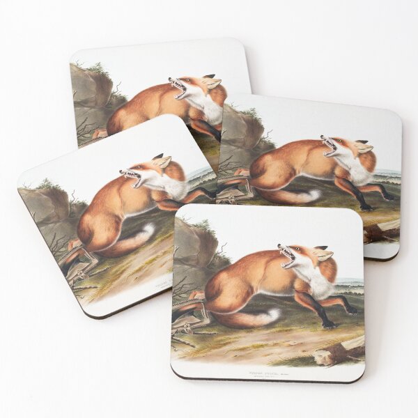 Item preview, Fox in a trap - John James Audubon designed and sold by Vintage Designs +.