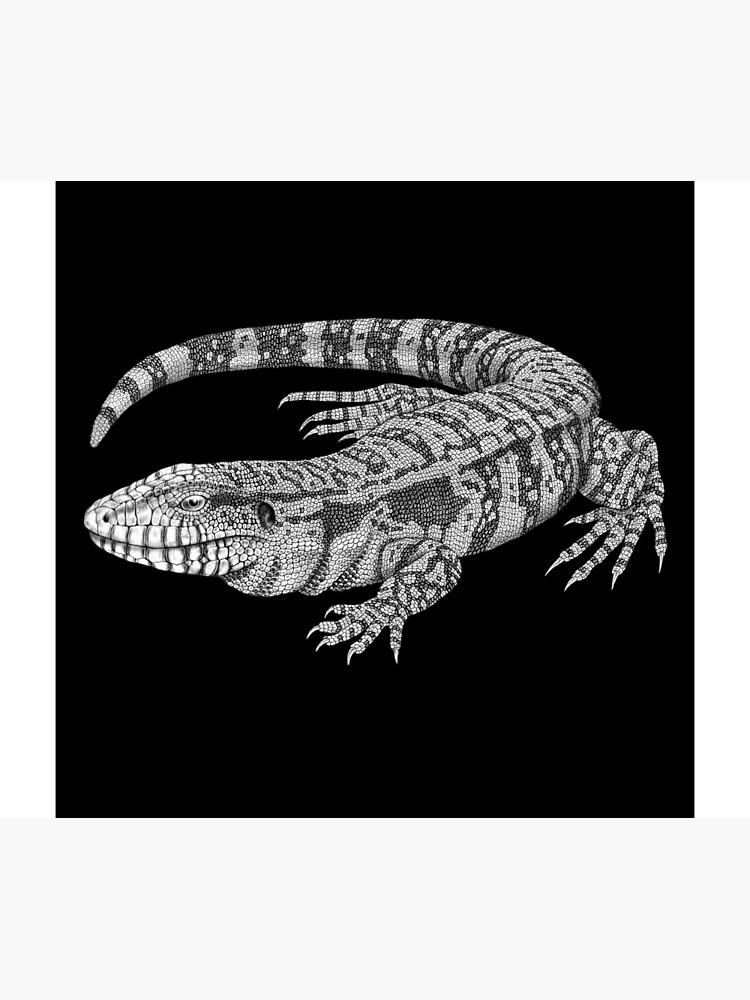Tegu by TimJeffsArt