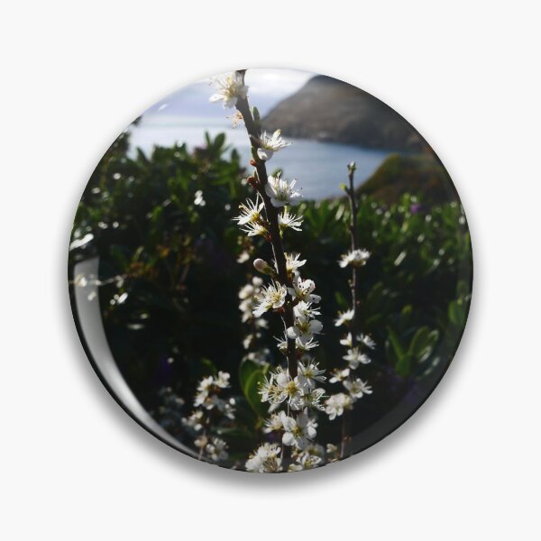 Item preview, Blackthorn (Prunus spinosa) designed and sold by IOMWildFlowers.