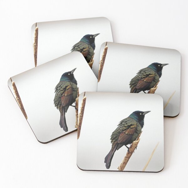 Item preview, Grackle Beauty designed and sold by Deb Oppermann.