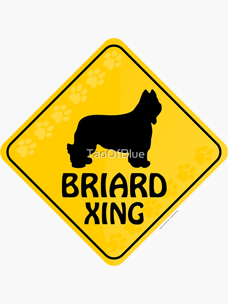 Briard Xing by TaoOfBlue
