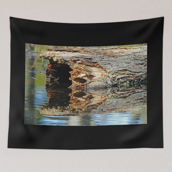 Item preview, Hollow Log Reflection In Pond designed and sold by Deb Oppermann.