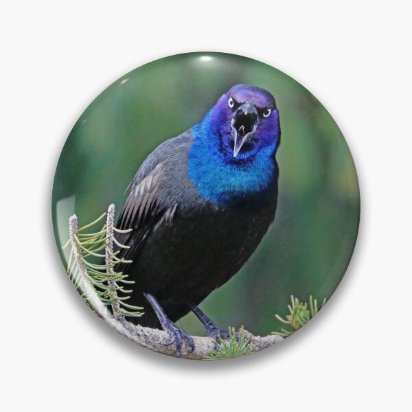 Item preview, Get Lost designed and sold by Deb Oppermann.