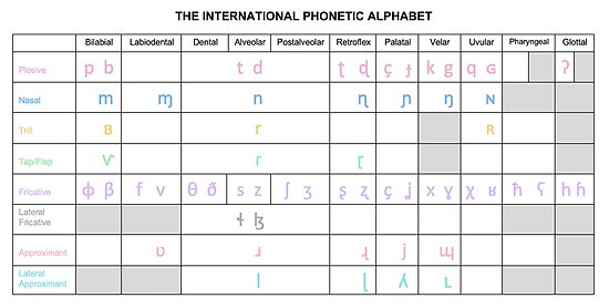  IPA Chart Poster By Bododobird Redbubble