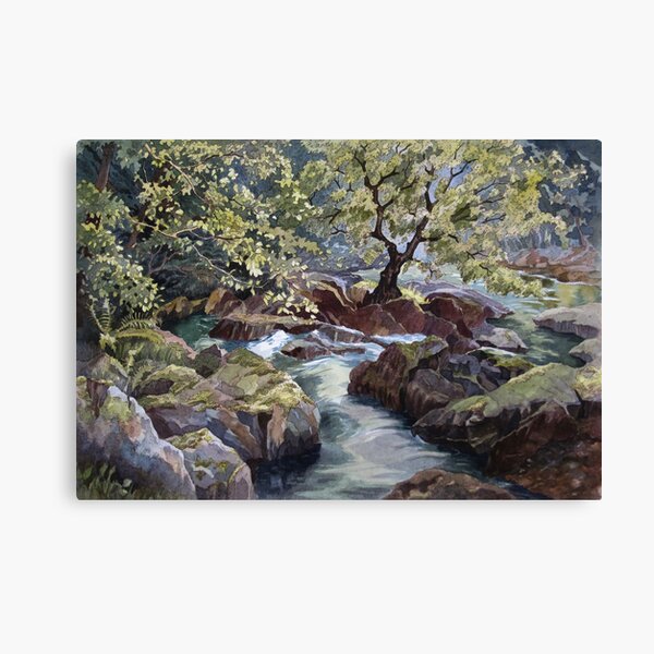 Ogwen Bank Canvas Print