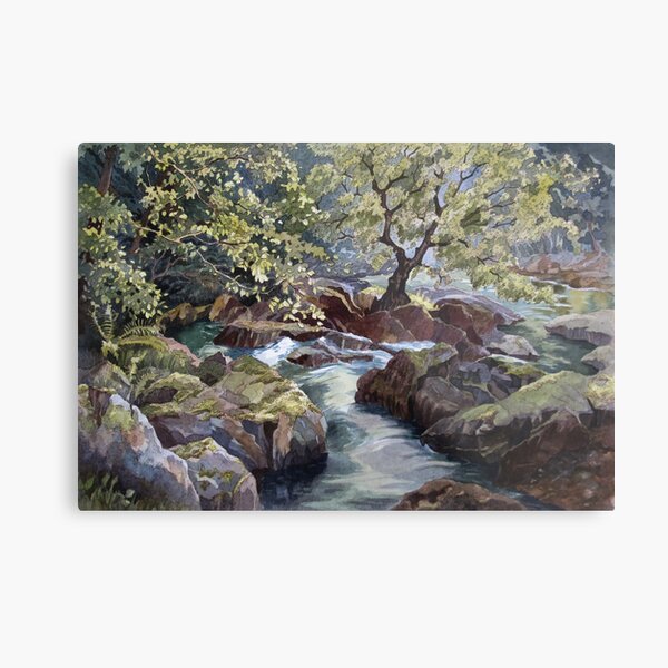 Ogwen Bank Metal Print