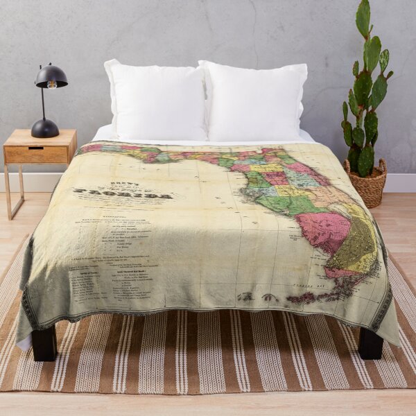Item preview, Map of Florida (1870) designed and sold by allhistory.