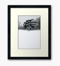 WInter 2 Framed Print