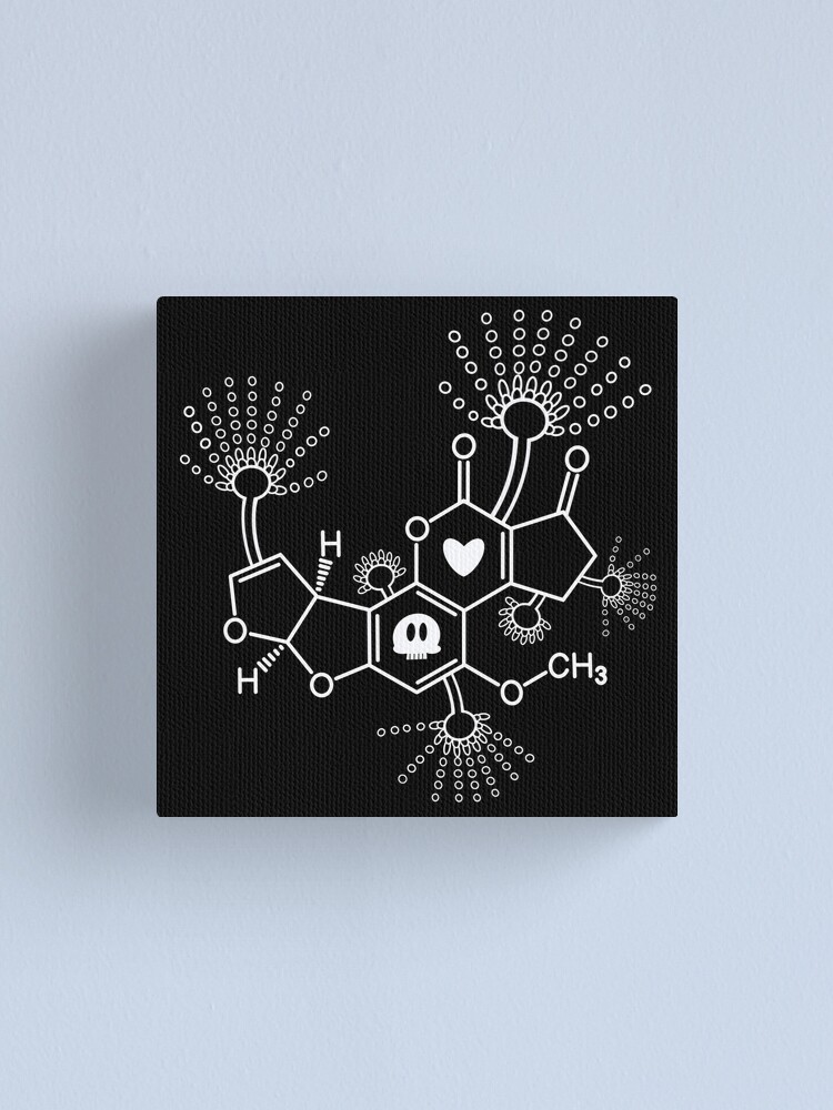 Aflatoxin B1 Aspergillus Flavus Canvas Print By Underthescope Redbubble