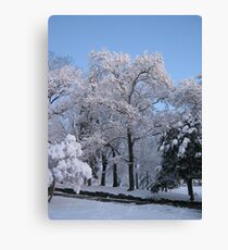 Feb. 19 2012 Snowstorm 77 Canvas Print