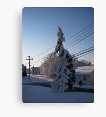 Feb. 19 2012 Snowstorm 112 Canvas Print