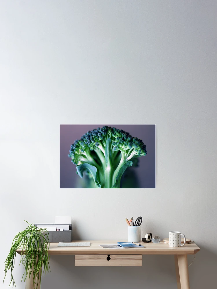Thumbnail 2 of 3, Poster, Broccoli designed and sold by RaphArt.
