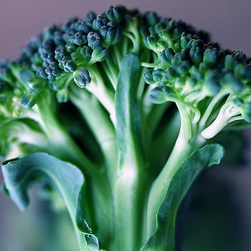 Artwork thumbnail, Broccoli by RaphArt