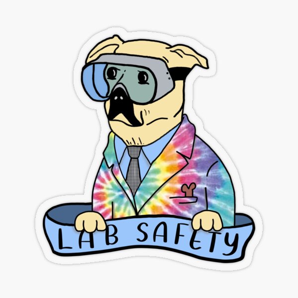 lab safety bumper sticker assignment