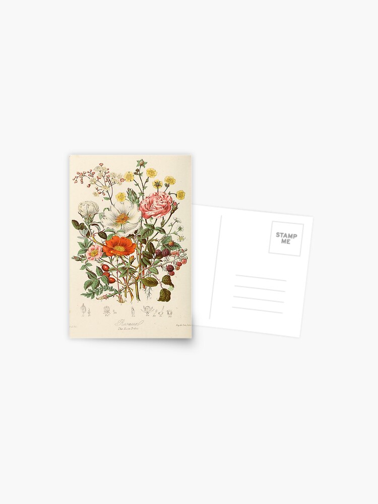 Carte Postale Fleurs Vintage Par Maximusfield Redbubble