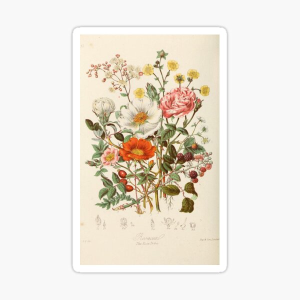 vintage flowers Sticker