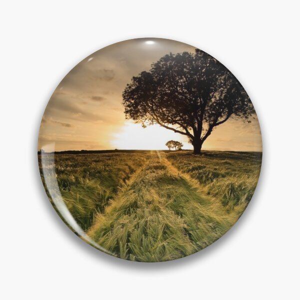 Item preview, Summer Sunset designed and sold by Derek Smyth.