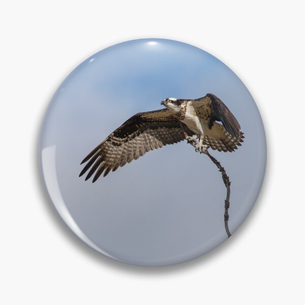 Item preview, Osprey 2020-1 designed and sold by Thomasyoung.
