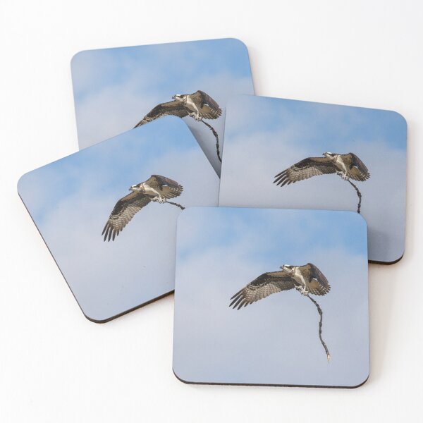 Item preview, Osprey 2020-1 designed and sold by Thomasyoung.