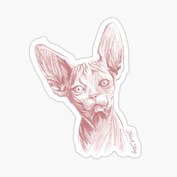 Chat Sphynx Stickers Redbubble