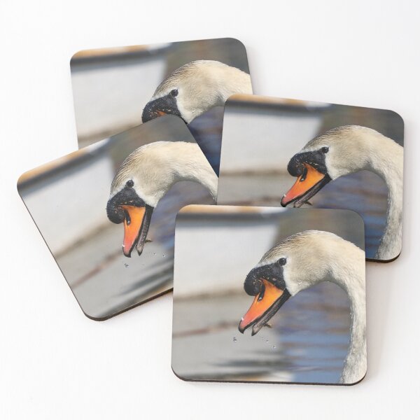 Item preview, Feeding swan designed and sold by GreyFeatherPhot.