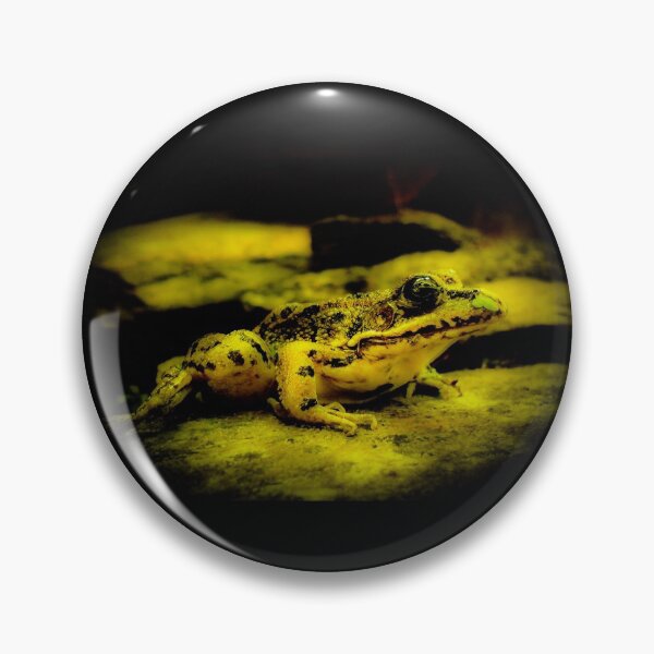 Item preview, Frog On A Rock With A Leaf On It's Nose designed and sold by Capuletdesigns.