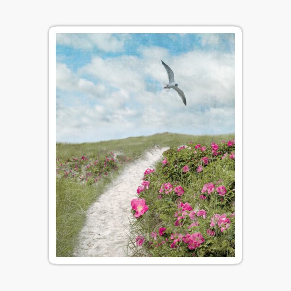 Item preview, Coastal Trail and Beach Roses  designed and sold by Brooke T Ryan Photographic Art.