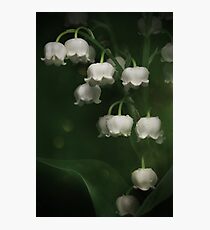 In the shadow... Photographic Print