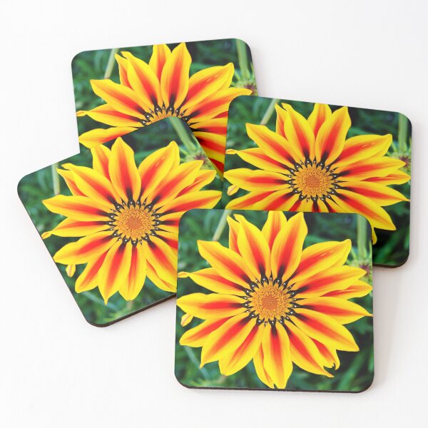Item preview, cli star burst designed and sold by pcfyi.
