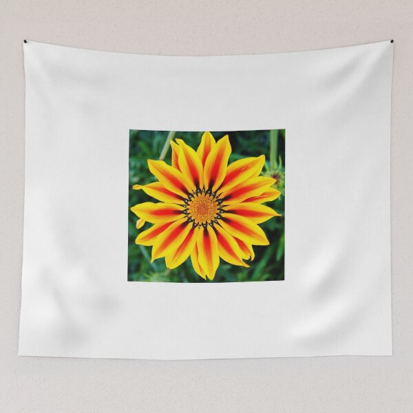 Item preview, cli star burst designed and sold by pcfyi.