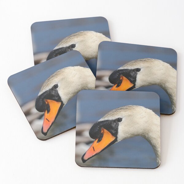 Item preview, Swan closeup designed and sold by GreyFeatherPhot.