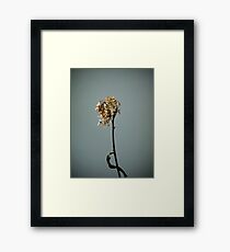 m6 Framed Print